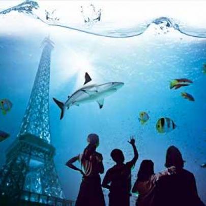 Bon plan: Visite nocturne et champagne à l'Aquarium de Paris !